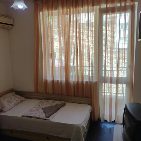 хаджи иванов Warna